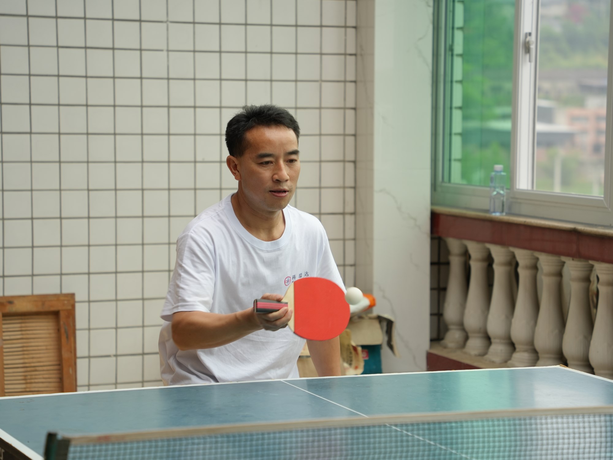 ping-pong